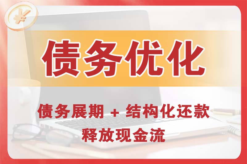 泸州债务优化